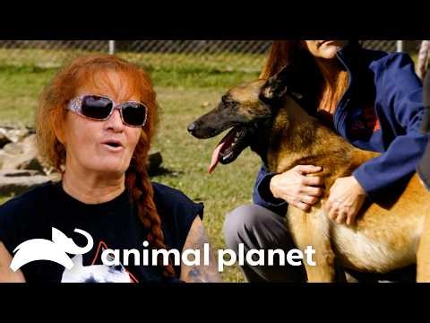 Rescued Dog Has Trouble Settling In! | Pit Bulls and Parolees | Animal Planet