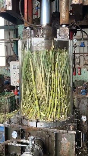 Watch Hydraulic Press Squeeze Sugarcane | Real Test Footage, Not AI