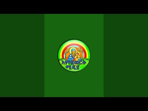 STUNNING PLACE🌴 WHAT'S UP😲 REALLY BAHIRDAR CITY‼️ 🔴LIVE