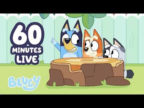 🔴LIVE: Bluey, Bingo & Muffin's Nail Salon! 💅 | Funny Stumpfest Clip + More 🤣 | Bluey