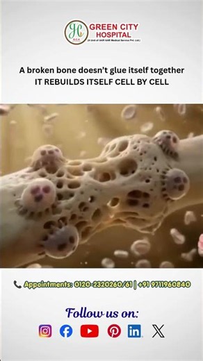 How Broken Bones Heal | The Amazing Bone Healing Process Explained