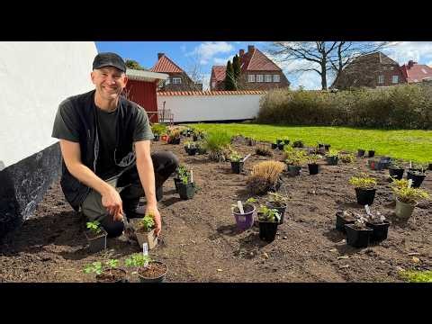 Planting a New Flower Bed from Scratch | Bare Root, Cuttings & Divisions