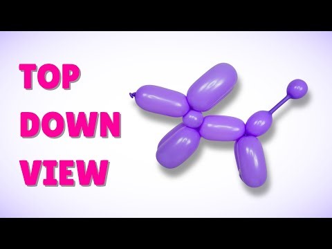 Simple One-Balloon Dog Tutorial (Overhead View)