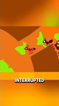The Ant Who Invented Water Transport 🐜💡