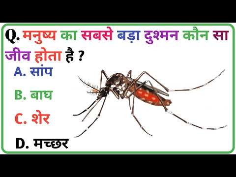 GK Question || GK In Hindi || GK Question and Answer || GK Quiz ||