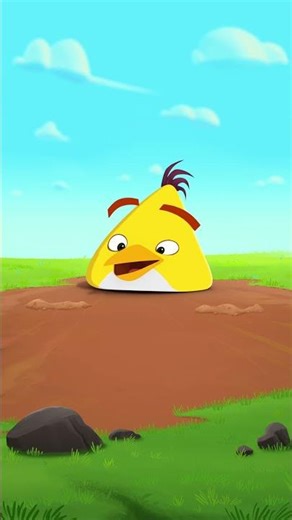 Can Chuck win Whack-a-Worm?🪱