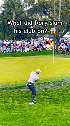 Even Rory McIlroy Snaps Sometimes 😅 #golf