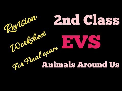 Class 2 EVS Worksheet//Animals Around Us Grade 2//Animal World Class 2 Science ‪@ncmalini8511‬