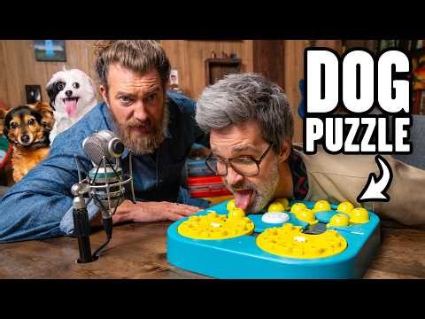 Who Suggested This Episode?