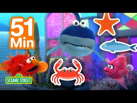 Elmo's Sea Creatures 🐠🦞🦈 | 1 HOUR | Sesame Street