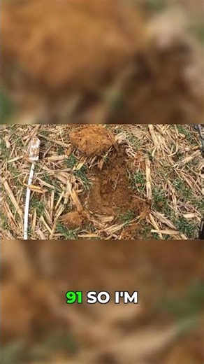 Could this be silver? Metal detecting mystery!