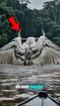 5 Deadliest Predators Hiding in the Amazon Rainforest! 🌴 #top5