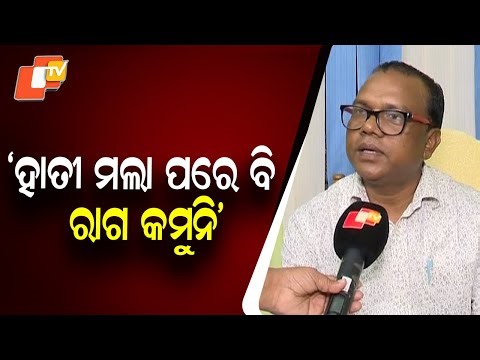 Elephant Takes Revenge After Death: Tuskers Attack Ramu Elephant’s Skeleton in Chandaka Forest