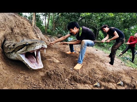 Brave Hunter Rescues Local People From A Giant Python