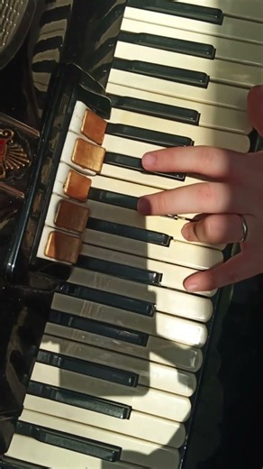 hava nagila on accordion Хава Нагила на аккордеоне