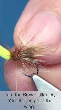 How to Tie an Emerger / Egg-Laying Balloon Caddis