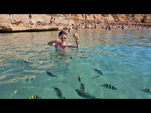 Most Beautiful Places In the World | From France & Switzerland to Thailand & Beyond! day1