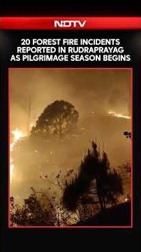 20 Forest Fire Incidents Reported In Uttarakhand’s Rudraprayag, 15 Hectares Affected