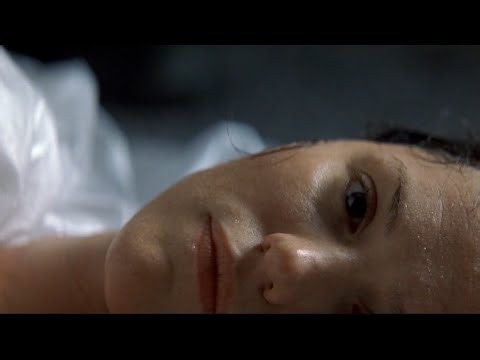 If Lana covered “i’m breaking the law” by smoke serpent 