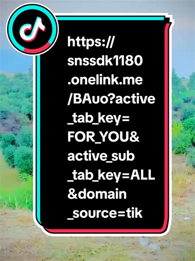 Insights on TikTok Creator Search Trends