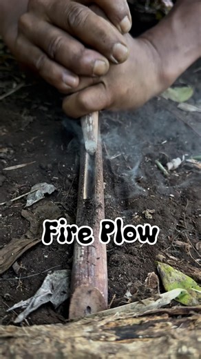 Survival skills Making fire with fFre plow #primitivefirelighting #bushcraft