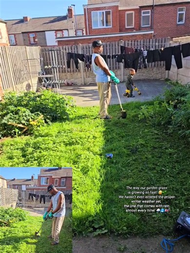 Why is my garden grass growing so fast before winter?