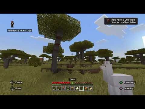 Playing Minecraft Part 1 Gameplay!