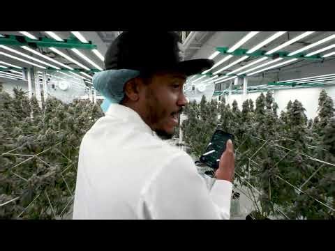 Remote Light Control with Growlink | Adjust LED Intensity from Anywhere