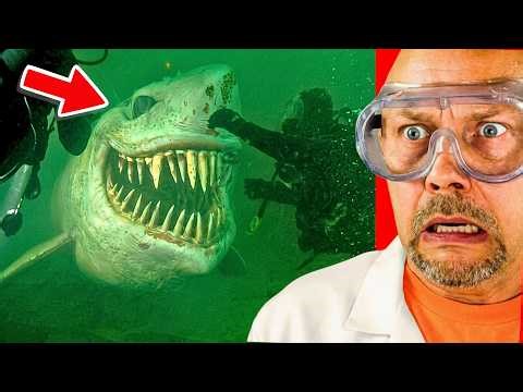 World's Craziest Discoveries