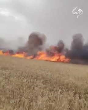 حريق يلتهم مزارع الحنطة شمال شرق الكرمة بمحافظة الانبار