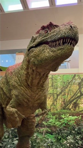 Tyrannosaurus Rex
