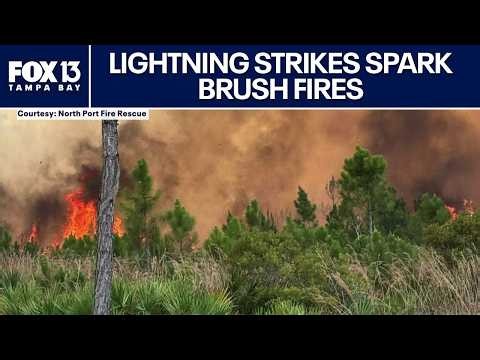 80 brush fires ignited after lightning strikes in Florida