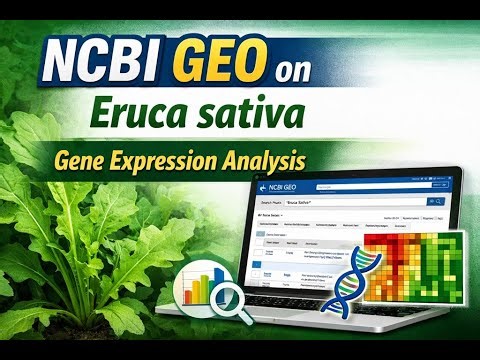 NCBI GEO Analysis on Eruca sativa | Gene Expression & Transcriptomics Tutorial