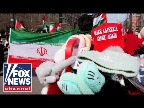 ‘HYPOCRITICAL’: Iranian expert SLAMS pro-regime protesters in the West