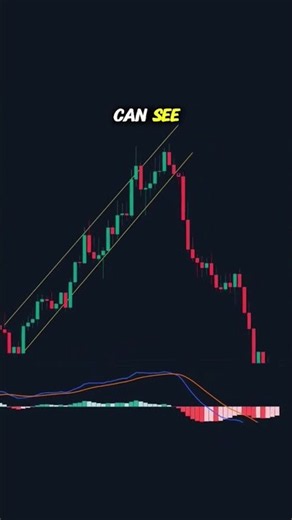 How to Trade a Bearish MACD Crossover | Forex Scalping Strategy #MACD #forex #crypto #forextrading