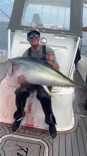 Why Is Bluefin Tuna More Expensive Than Yellowfin? 🐟💰#trendingshorts #facts #tuna