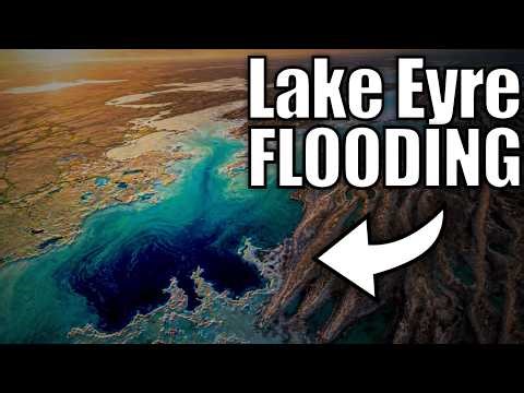 Lake Eyre's Biggest Flood in 50 Years