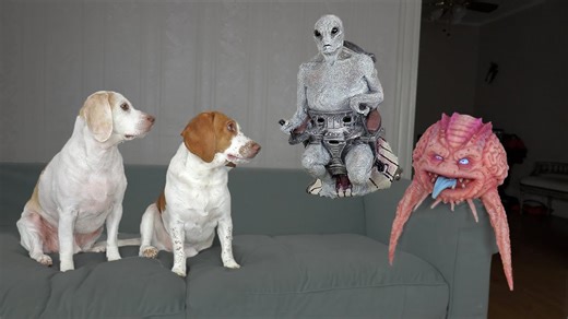 Dogs steal an alien UFO during invasion prank