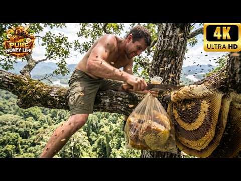 I Climbed This Forbidden Tree for the Best Wild Honey