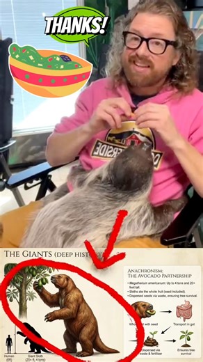 Ever look at an avocado and wonder: "Why is the pit so big?" In nature, a seed that size is a death sentence for a plant. If nothing can swallow it, the plant can't spread. It should have disappeared from the face of the Earth a long time ago. But it didn’t. And the reason why is honestly a bit terrifying. Kevin just sat down to break open one of the coolest mysteries in biological history. It involves 15-foot-tall behemoths, "prehistoric gardening," and the reason your favorite dip exists today