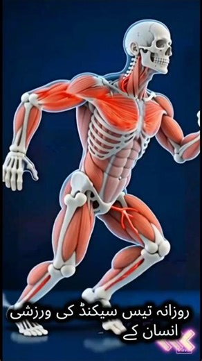 "30 Minutes Daily Exercise Routine | Boost Energy, Blood Circulation & Stay Healthy Naturally"