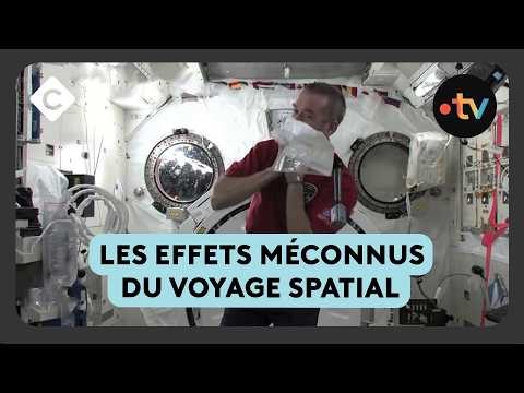 Dans la peau des astronautes : la réalité derrière le mythe