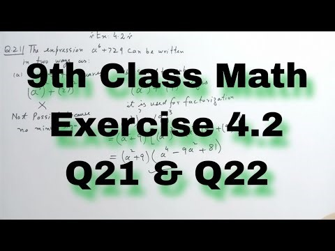How to Factorize Polynomials | 9th Class Math | Exercise 4.2 Questions 21,22 | Factorization | NBF