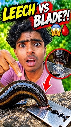Leech VS Blade 😱🩸 | What Happens Next?! #shorts