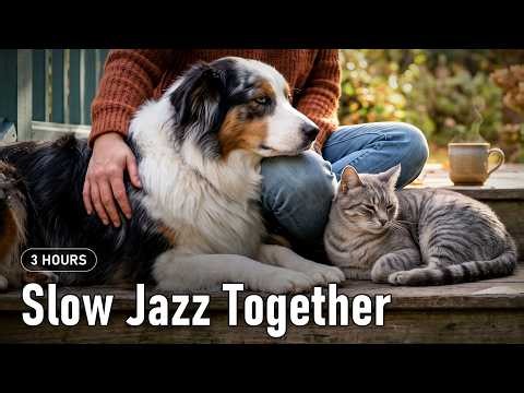 Relaxing Music for Dogs & Cats · Slow Jazz on an Autumn Porch · 3 Hours
