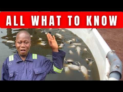 Complete Fish Farming Training With Cameroonian
