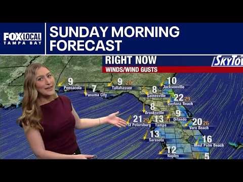 Tampa Weather | Sunday Forecast