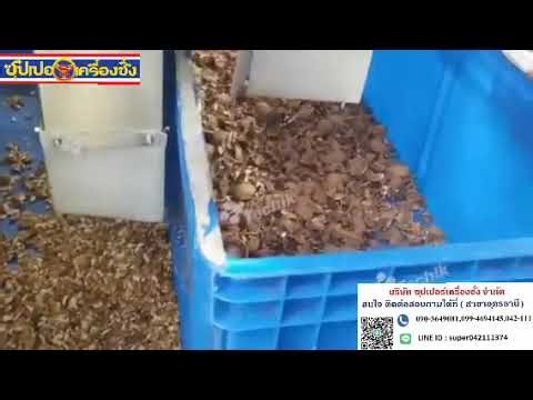 Techik color sorter for walnut shell and kernel sorting