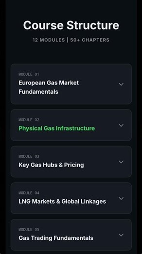 European Gas &LNG Analyst Mastery