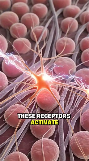 The Split Second Your Body Takes Over #reflex #amazing #humanbody